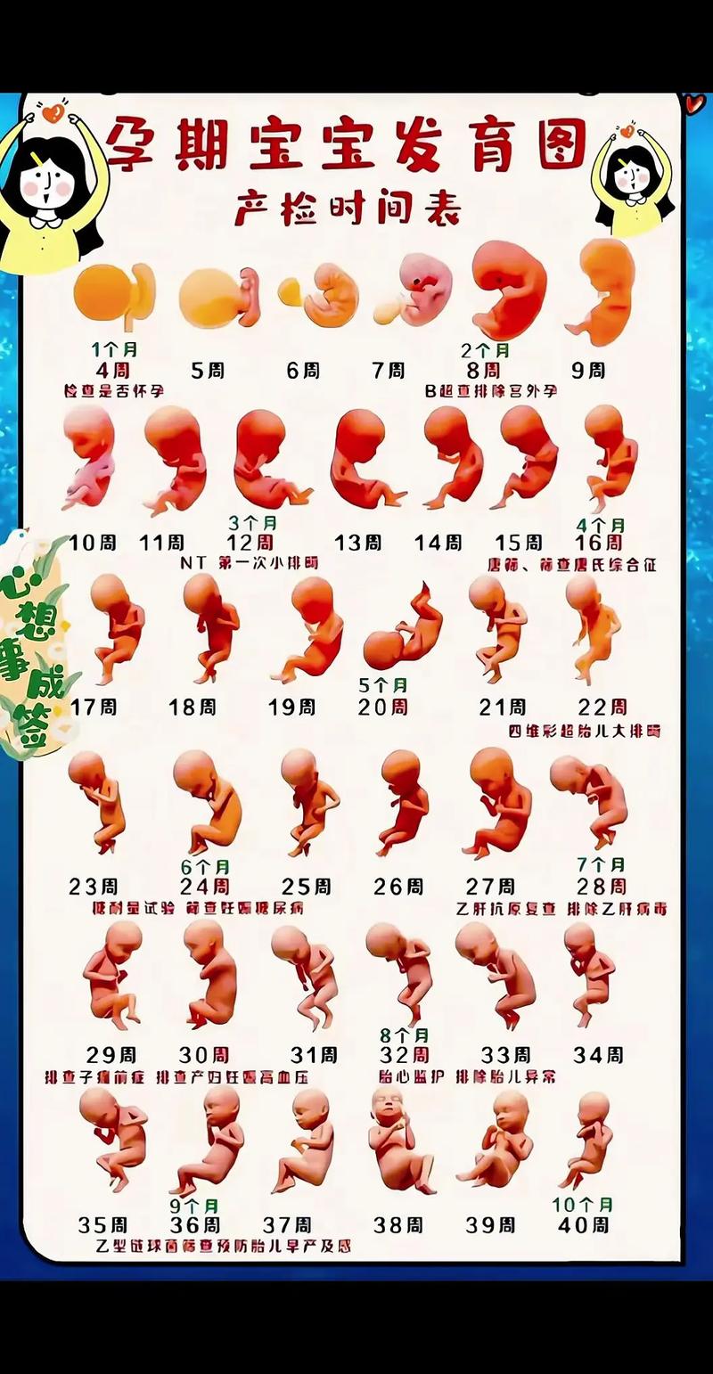 人工代生代怀宝宝几个月可以抬头？从懵懂到挺立，看懂这些发育里程碑