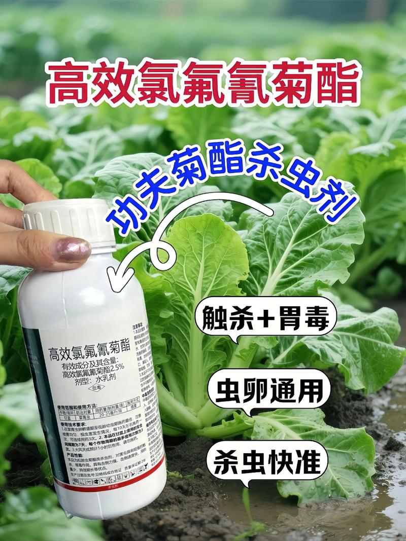 岳阳代生中心:农药对供卵代生妈妈的危害